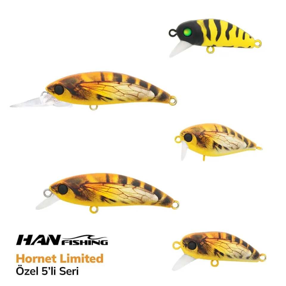 Hanfish Hornet Limited Özel Beşli Seri